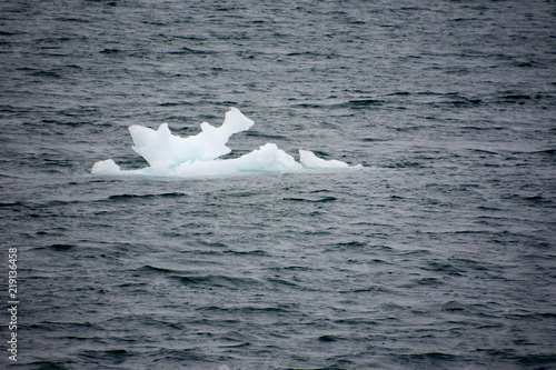 Icebergs formed from Columbia Glacier Calving 