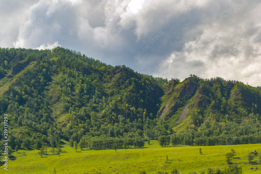 landscape of the ridge covered with green trees and view a valley flooded with sunlight ,pasture, with dense clouds in the sky. summer day in the mountains of the Altai landscape of the ridge covered with green trees and view a valley flooded with sunlight ,pasture, with dense clouds in the sky. summer day in the mountains of the Altai