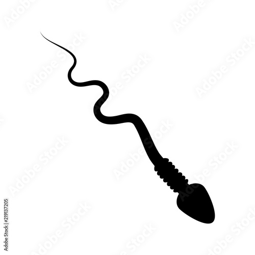 cartoon spermatozoid silhouette vector design isolated on white background