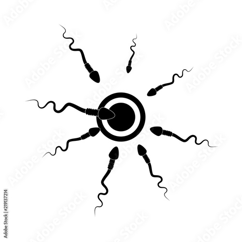 cartoon spermatozoid and egg cell vector design isolated on white background