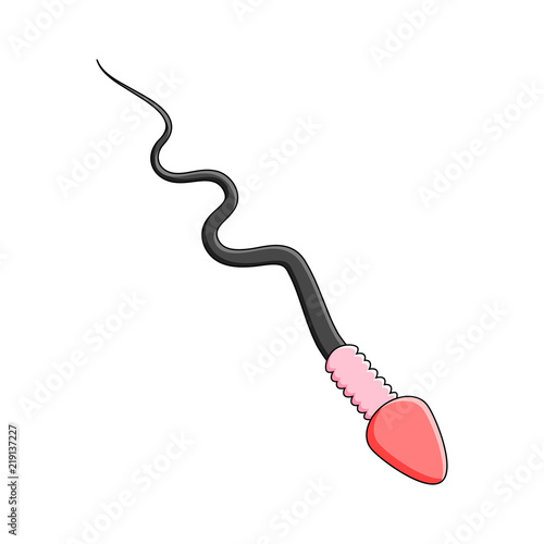 cartoon spermatozoid , sperm vector design isolated on white background