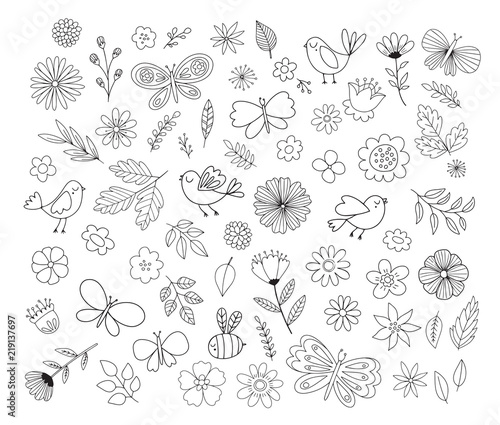 Doodle flowers, birds, butterflies. Cute hand drawn floral illustrations. Vector design elements.