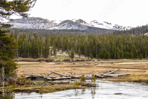Tioga Pass Road