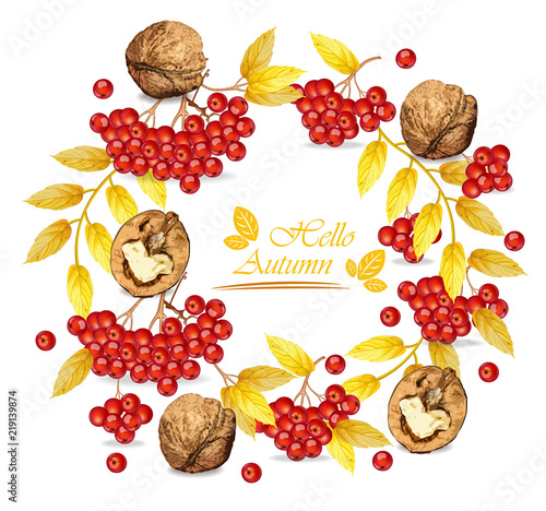 Autumn wreath walnuts and mountain ash Vector realistic. Fall roudn decorations