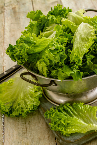 Εκτύπωση καμβά fresh salad leaves