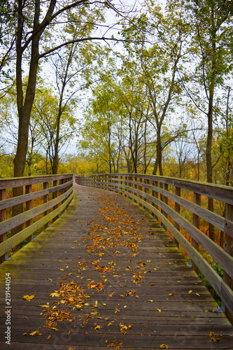 Fall Crossing