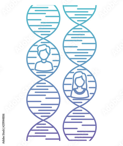 dna chain with genders characters vector illustration design