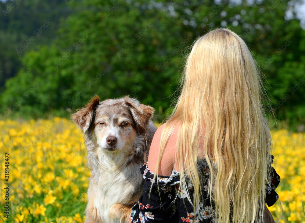 Hundeshooting mit Blondine. Langhaarige Frau von hinten hält süßen  Australien Shepherd Hund in gelber Blumenwiese Stock-foto | Adobe Stock