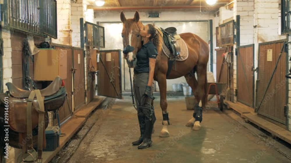 Portrait of a woman stands in a stable with a horse, patting it. 4K. Portrait of a woman stands in a stable with a horse, patting it. 4K.
