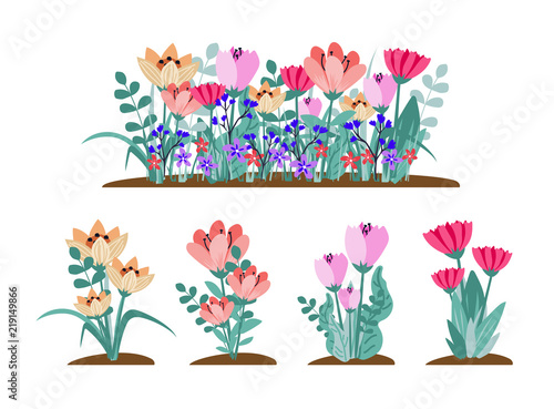 Early spring forest and garden flowers isolated on white vector set. Illustration of nature flower spring and summer in garden, vector illustration.