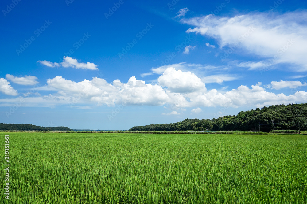 田園風景 田園風景