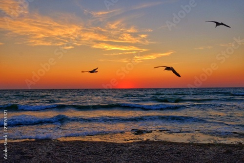 Sunrise over the sea © Viorel