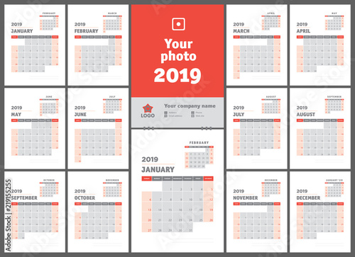 2019 calendar. English calender. Color vector template. Week starts on Sunday. Business planning. New year planner. Clean minimal table. Simple design