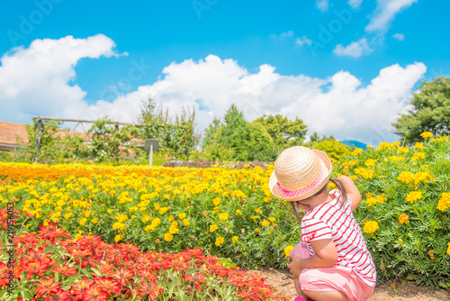 お花畑と子供