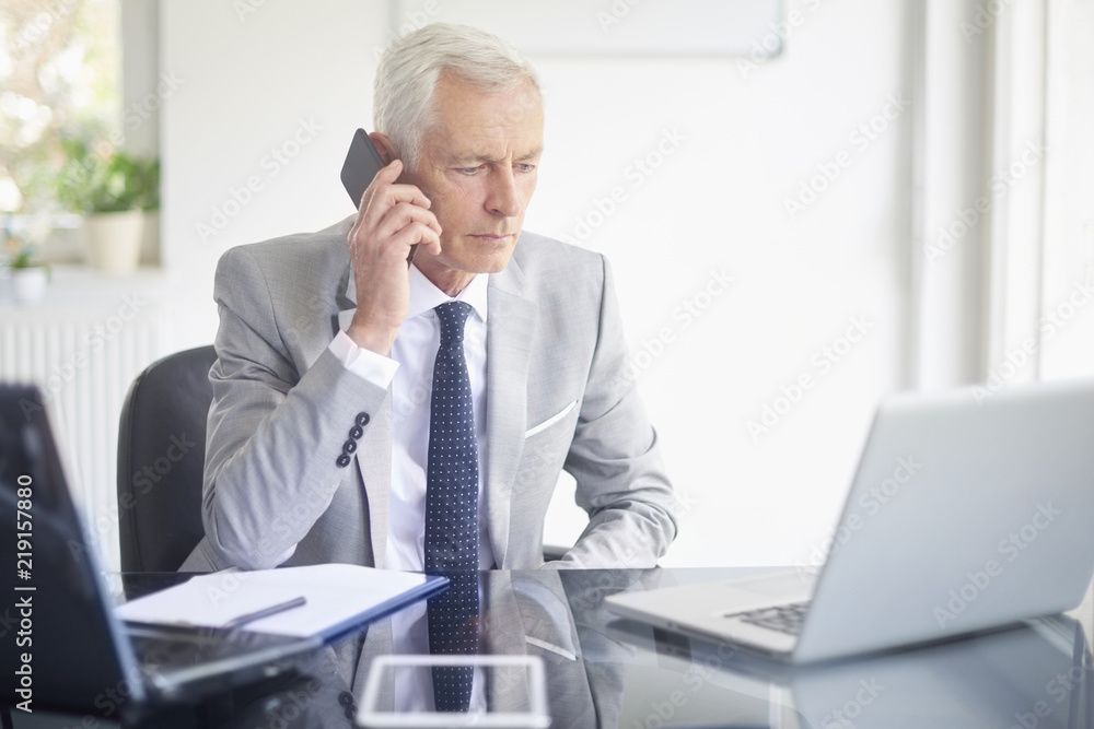 Businessman making call and using laptops in the office Businessman making call and using laptops in the office