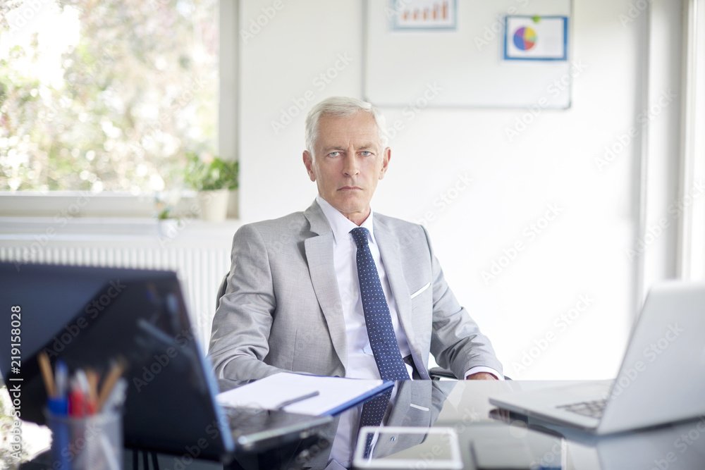 Executive senior businessman working in the office