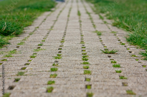 фотографія way on a field