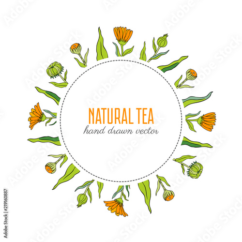 Calendula flower wreath isolated on white background, round frame hand drawn marigold, vector illustration for design package herbal tea, cosmetic, natural medicine, greeting card, decorative label