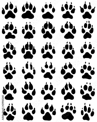 Black print of dogs paws on white background