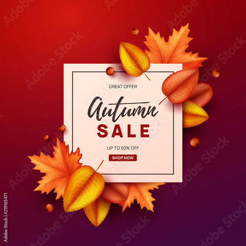 Autumn banner with colorful leaves. Vector illustration.