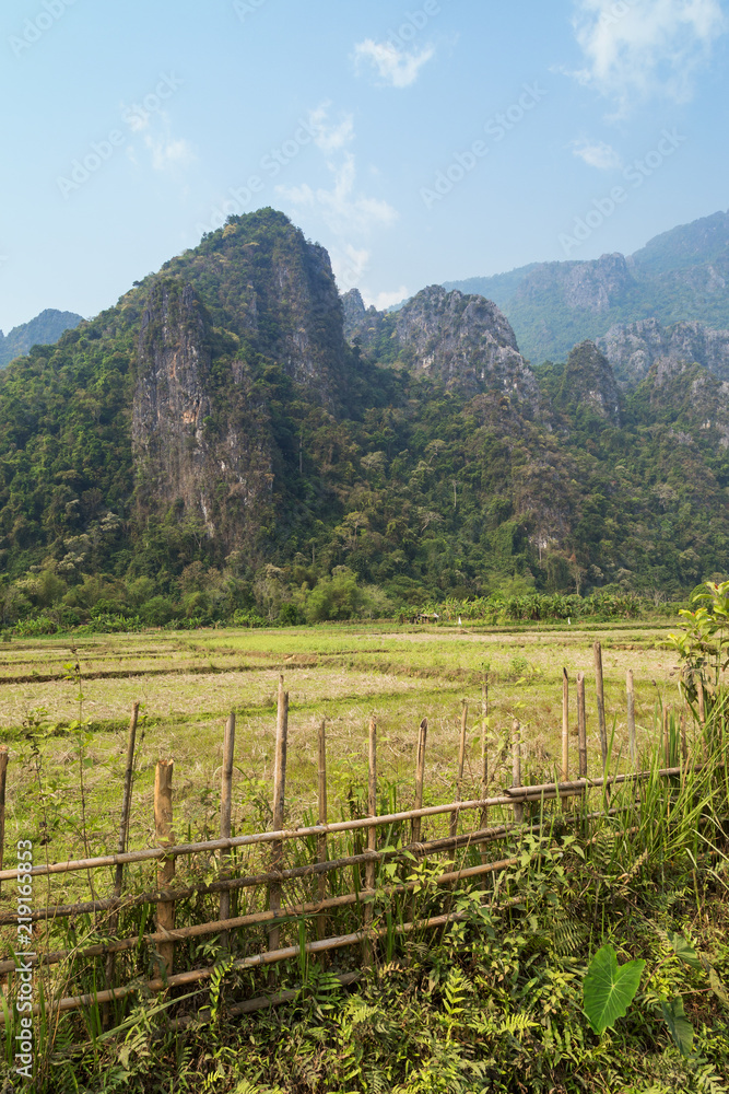 Beautiful view of a field and karst limestone mountains near Vang Vieng, Vientiane Province, Laos, on a sunny day.