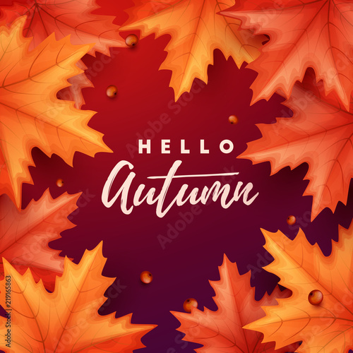 Autumn background with colorful leaves. Vector illustration.