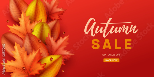 Autumn sale background with colorful leaves. Vector illustration.