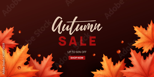 Autumn sale background with colorful leaves. Vector illustration.