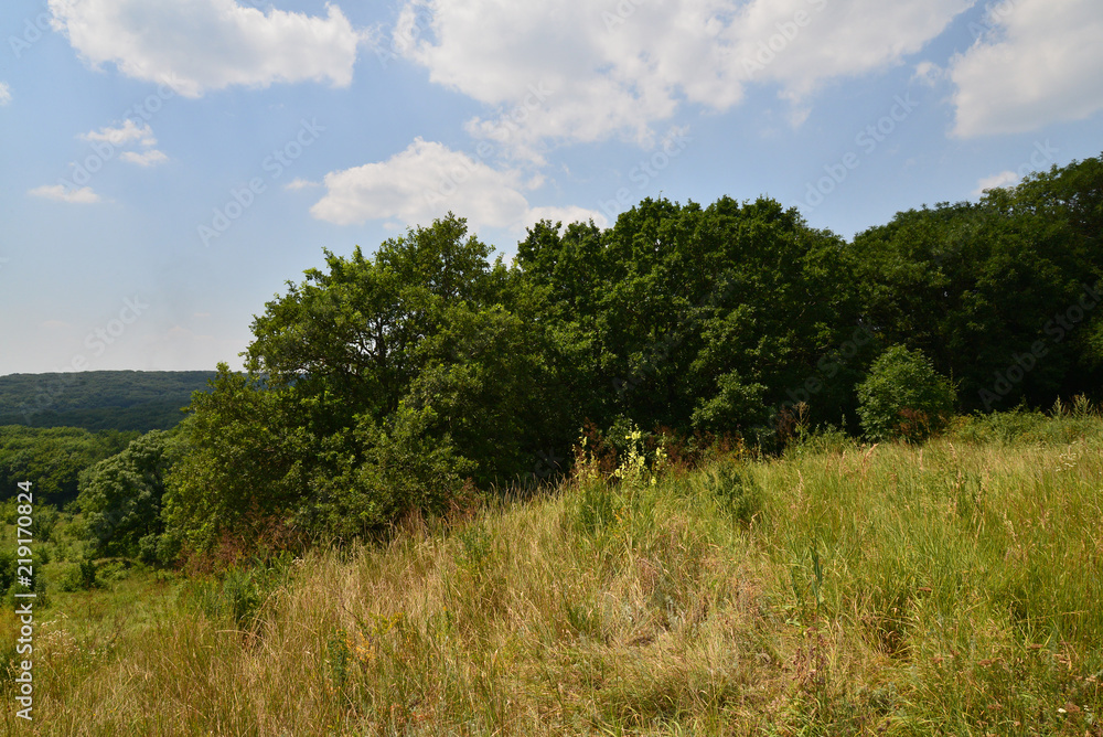 Green landscape 3