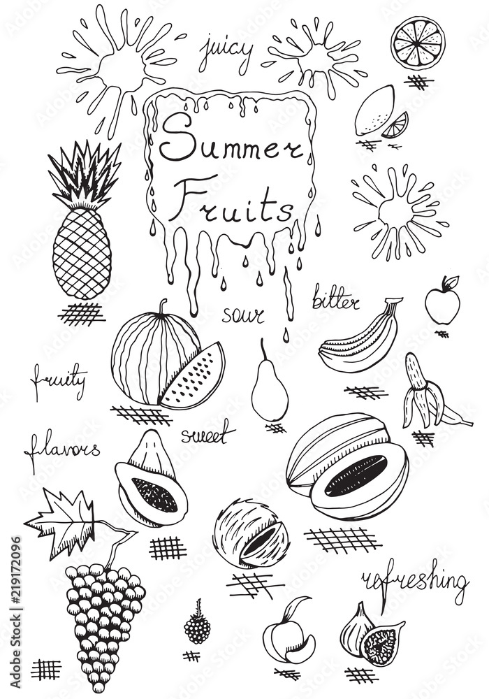 Fototapeta premium Summer Fruits Doodle Set Hand Drawn Black Ink