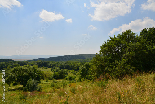 Green landscape 1