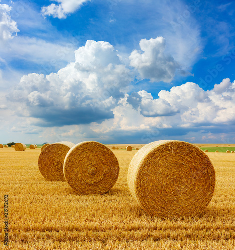 Yellow golden straw bales of hay in the stubble field, agricultural field under a blue sky with clouds