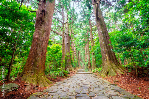 Daimonzaka path in wakayama, Japan