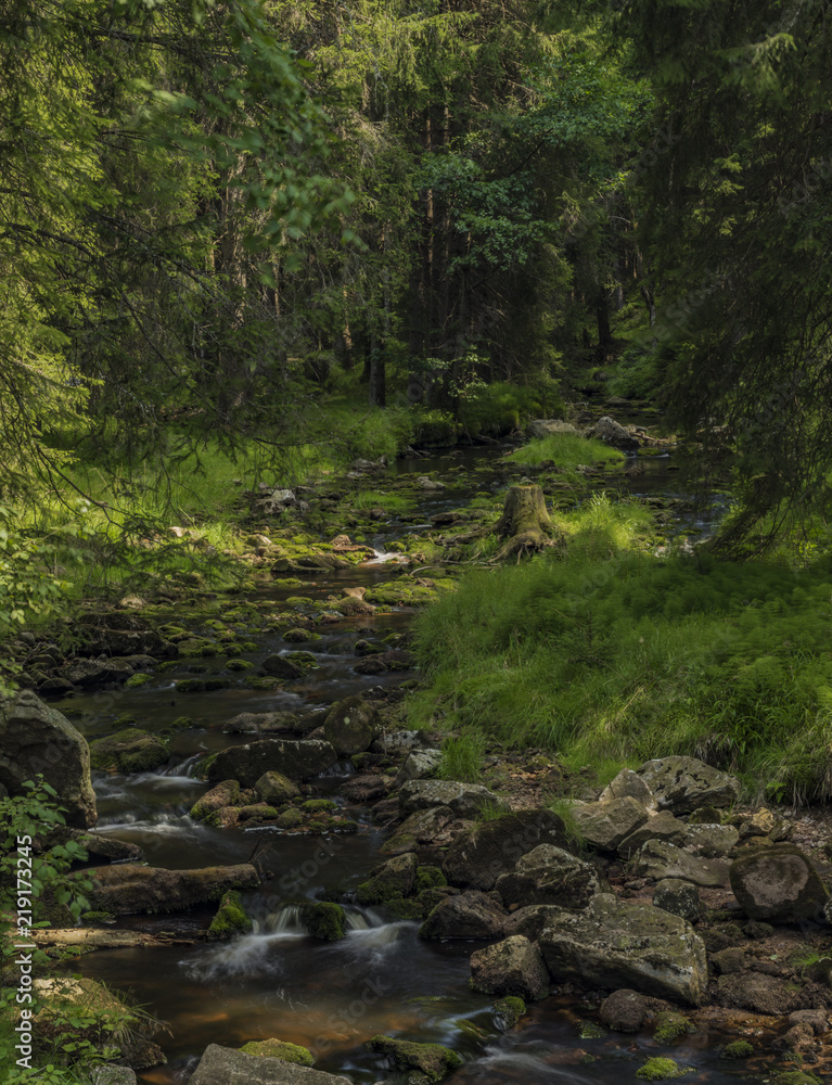 Rolava river in summer hot sunny day