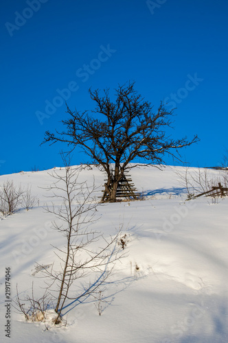 Winter, snow, landscape, Carpathians, New Year, Christmas, mountains