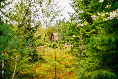 Lost Place in Sweden - Trip to Sweden - Urlaub in Schweden © Till Heidrich