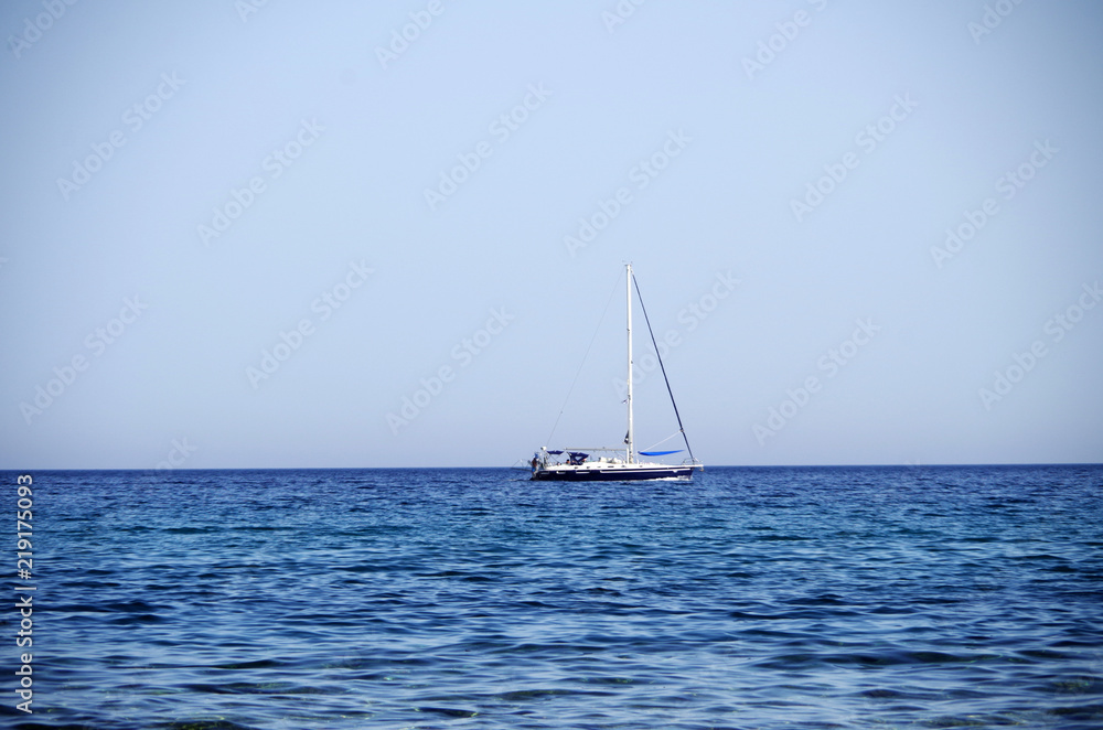 Fototapeta premium Sailing