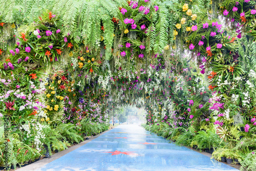 Romantic footpath in the park or garden. The arch covered with colorful orchid e.g pink, white, yellow. Beautiful walk way with camber and gorgeous flowers. A tunnel decorated with green moss and fern photo