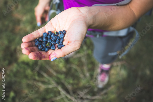 Reife Heidelbeeren in der Hand einer jungen Frau, Körper in der Unschärfe