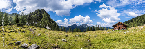 Almhütte in den Bergen: Bäume, grüne Wiese und blauer Himmel, Panorama © Patrick Daxenbichler