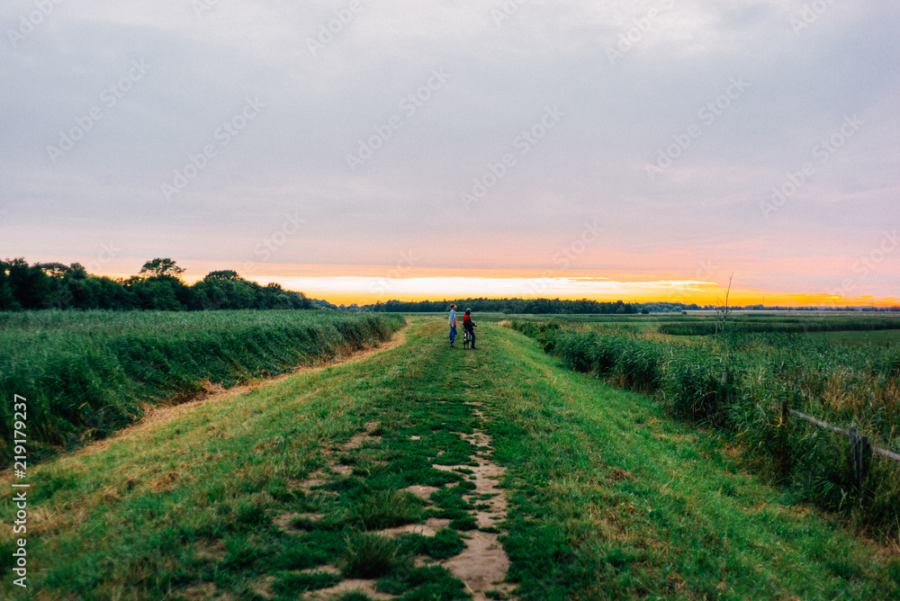 Obraz premium Sonnenuntergang bei Greifswald