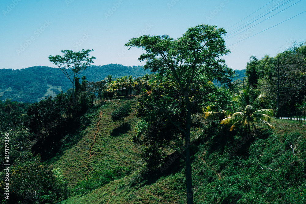 Obraz premium Adobe Stock Photo