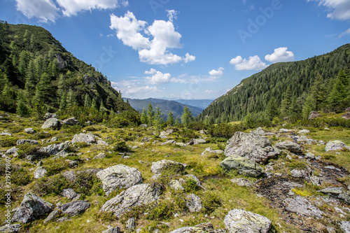 Almlandschaft: Steinbrocken, Wiese, Bäume und blauer Himmel, Aussicht