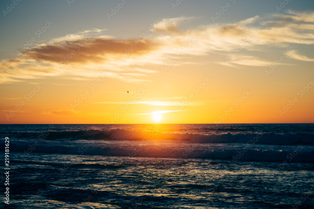 Obraz premium Adobe Stock Photo