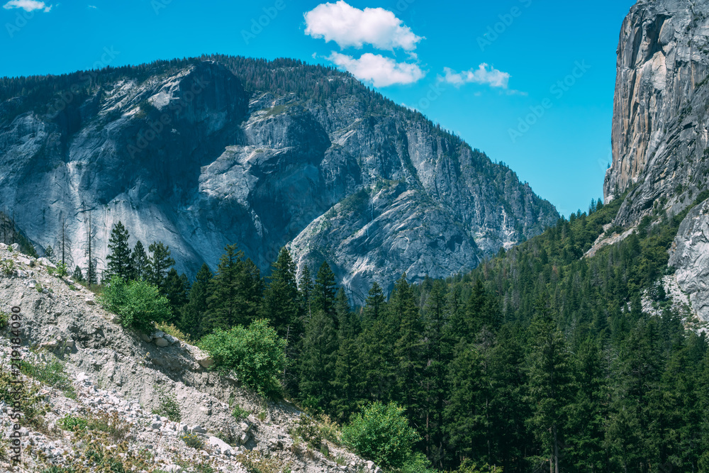 Obraz premium Adobe Stock Photo