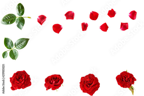Flowers composition. Red roses isolated on white background. Flat lay, top view.