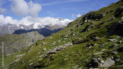 Porośnięty trawą stok góry na tle pokrytego lodowcem wysokogórskim Masywu Monte Rosa.