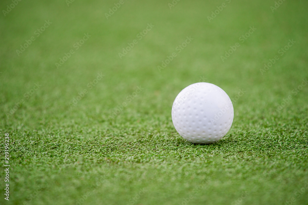 White dimple hockey ball on astro turf White dimple hockey ball on astro turf