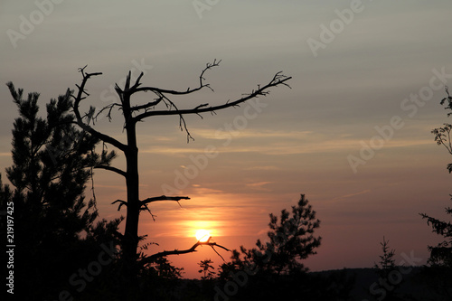 am Lippischen Velmerstot im Sommer 2018 photo