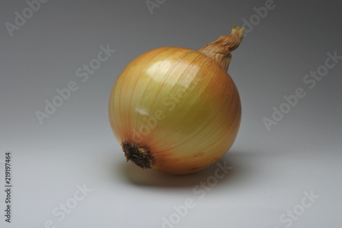 Isolated white onion